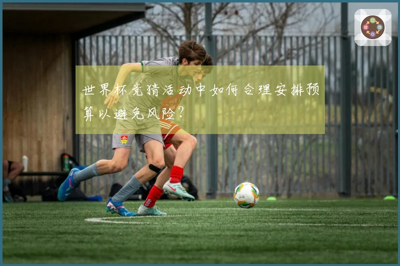 世界杯竞猜活动中如何合理安排预算以避免风险?